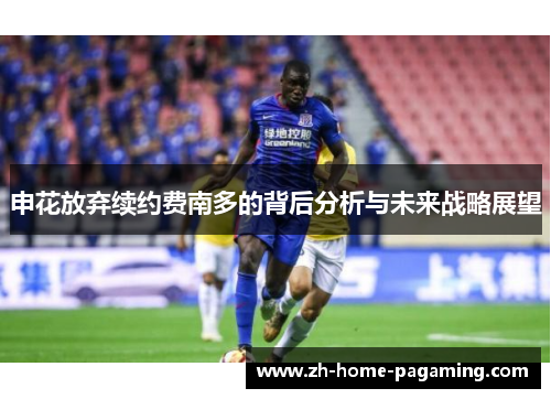 申花放弃续约费南多的背后分析与未来战略展望