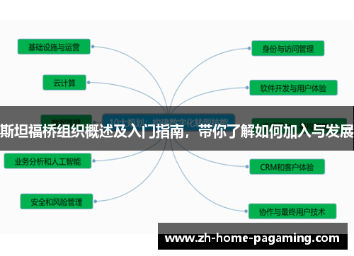 斯坦福桥组织概述及入门指南,带你了解如何加入与发展 斯坦福桥组织概述及入门指南,带你了解如何加入与发展