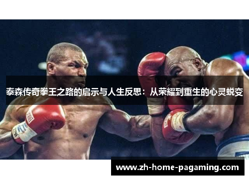 泰森传奇拳王之路的启示与人生反思：从荣耀到重生的心灵蜕变