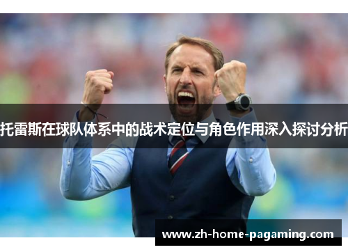 托雷斯在球队体系中的战术定位与角色作用深入探讨分析