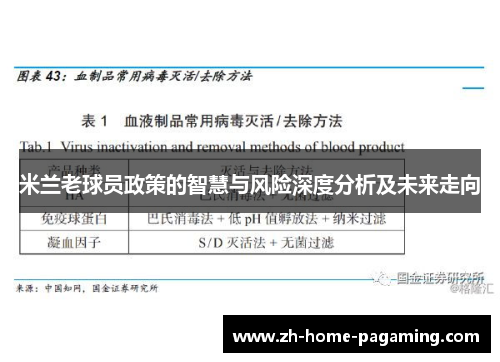 米兰老球员政策的智慧与风险深度分析及未来走向 米兰老球员政策的智慧与风险深度分析及未来走向