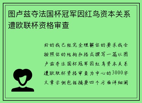 图卢兹夺法国杯冠军因红鸟资本关系遭欧联杯资格审查
